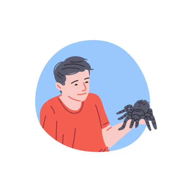 Vector illustration of Man holds on hand black fluffy spider, owner with tarantula, vector pet reptile or home insect animal, exotic arachnid