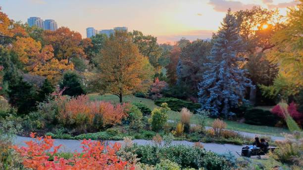istock Landscape view of High Park in Toronto 1761644036