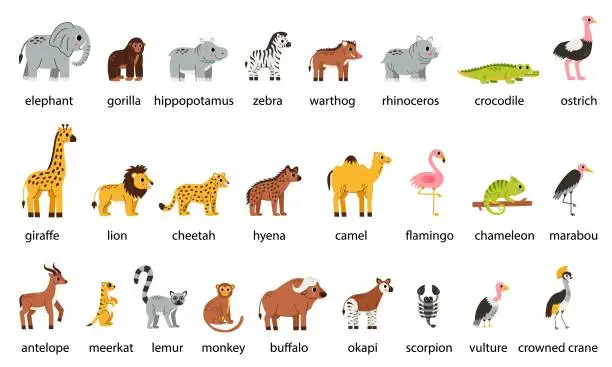 Vector illustration of Set of cute African animals with names in cartoon style on white background.