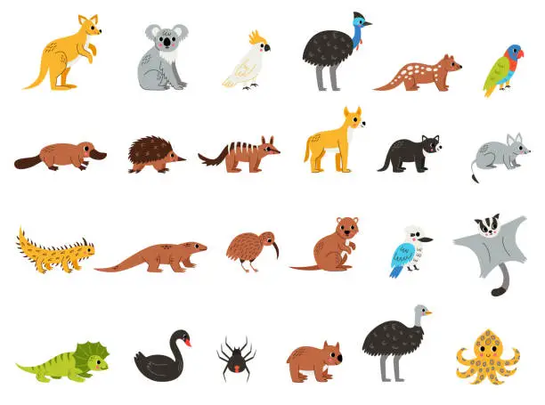 Vector illustration of Set of cute Australian animals in cartoon style on white background.
