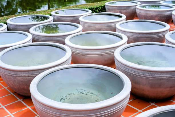 istock a row of bowls with a fish in it. 1761645917