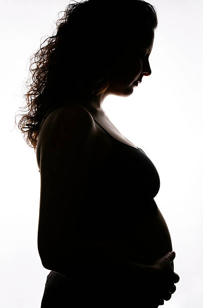 Pregnancy "5 months pregnant woman silhouette.For more of my similar images, please follow the banner link below:" 3 months pregnant belly stock pictures, royalty-free photos & images