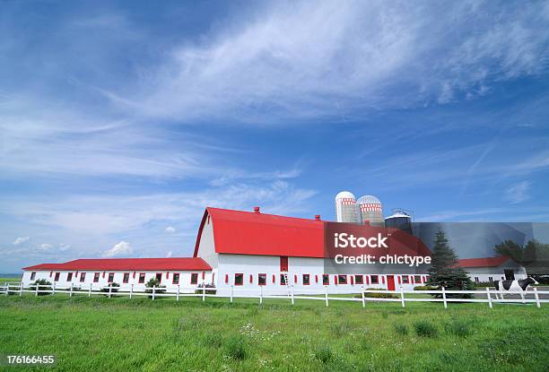 Red And White Cattle Barn With Feed Silos On Sunny Day Stock Photo - Download Image Now