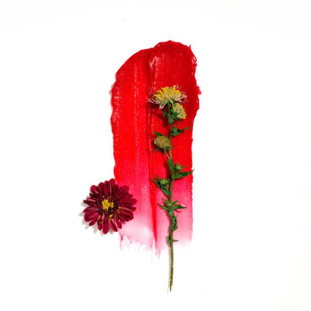 istock Red lipstick swatch. Lipstick texture with flowers. 1761672680