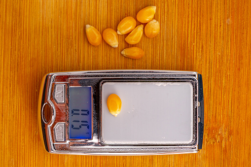 small precision weighing device with a corn berry weighing 0.15g on the digital display