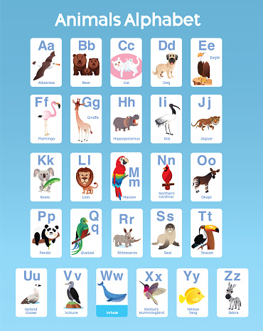 Vector Animals Alphabet A to Z for Kids