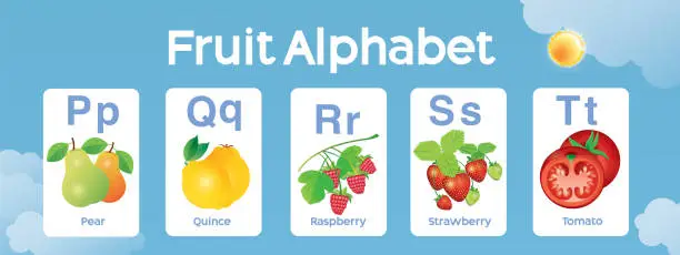 Vector illustration of Fruits Alphabet P to T for Kids