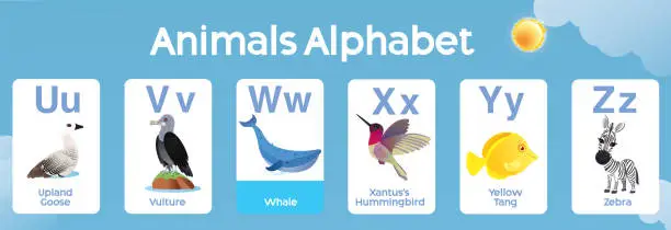 Vector illustration of Animals Alphabet U to Z for Kids