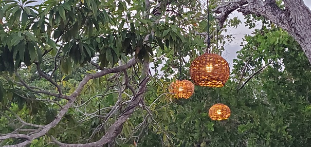 This is a candid photo of rattan pendant lights hanging from a tree outdoors in Tulum, Mexico.