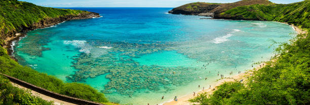 istock Hanauma Bay on Oahu, Hawaii 1761697369