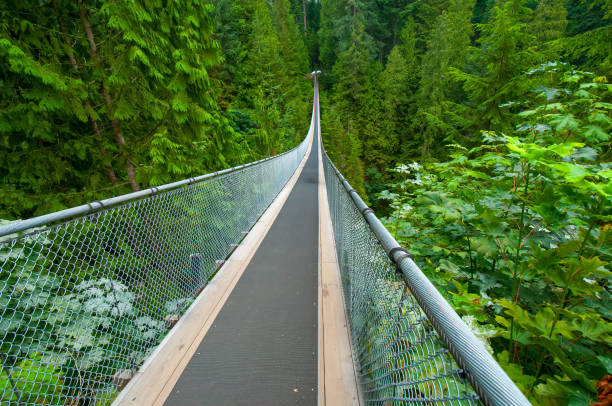 istock Capilano Suspension Bridge near Vancouver, Canada 1761699007