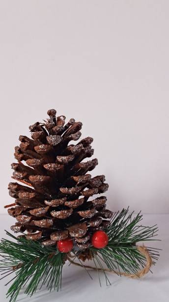 istock Christmas symbol nature 1761711748