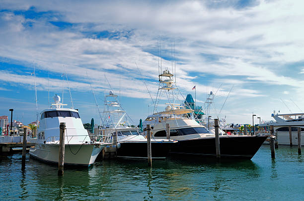 istock expensive boats docked at miami beach marina 176171425