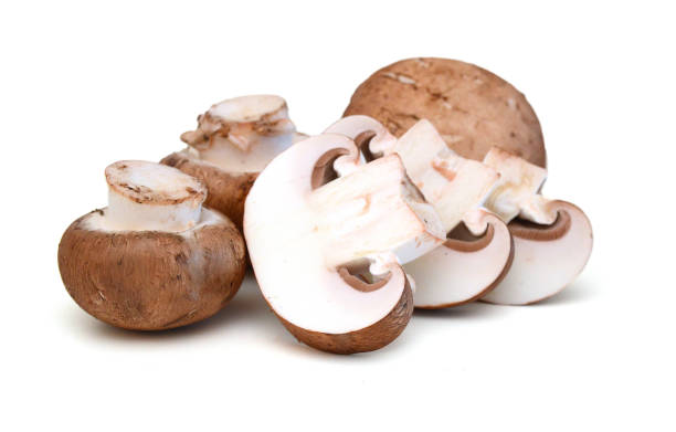 istock Brown mushrooms isolated on white background 1761724667