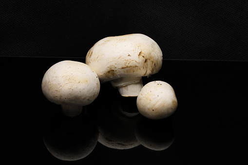 mushrooms, mushroom, brown mushroom, white mushroom