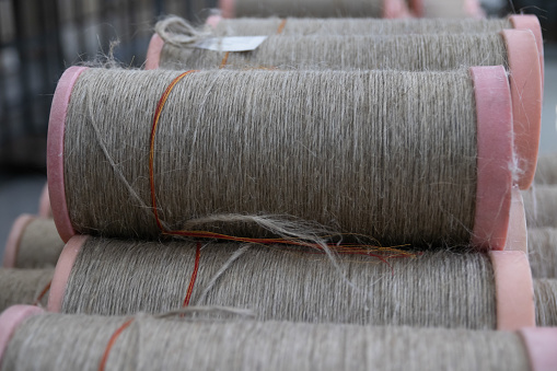 large bobbins of flax threads for fabrics .Flax processing plant, fabric production. Flax is made .A workshop at a textile factory
