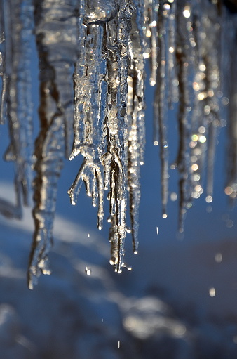 Ice stalactites hanging from a roof with drops of water falling