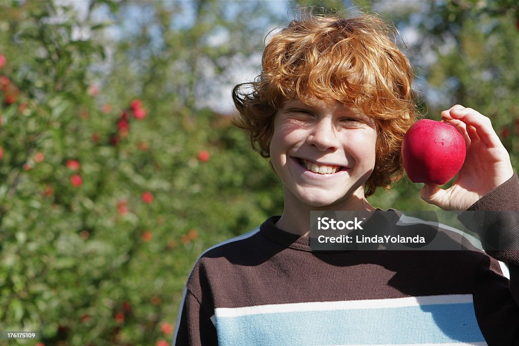 Garçon de l'Apple Orchard - Photo de 10-11 ans libre de droits