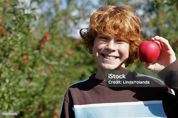 Menino No Pomar De Macieiras - Fotografias de stock e mais imagens de 10-11 Anos - 10-11 Anos, Agricultura, Alimentação Saudável