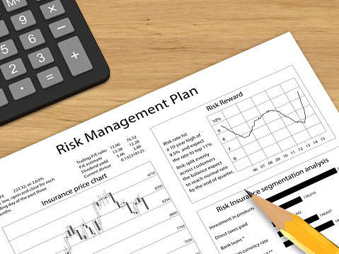 Risk management plan report