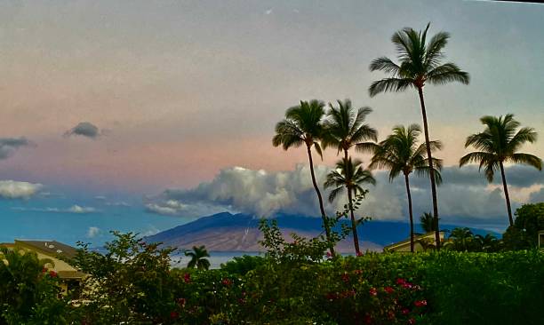 the skies over maui light up pink at sunrise.