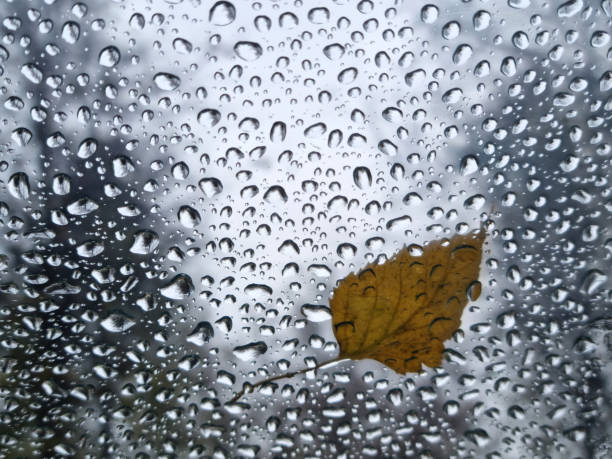 Autumn mood. Longing and depression. Yellow autumn leaf and raindrops on glass. Selective focus
