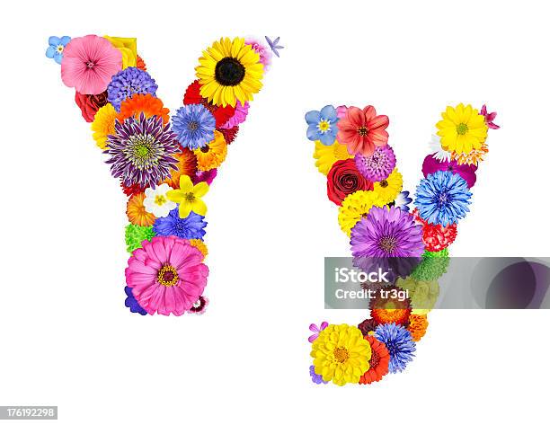 Flower Alphabet Isolated On White Letter Y Stock Photo - Download Image Now - Alphabet, Alphabetical Order, Blue