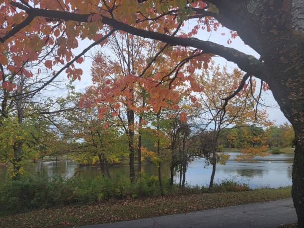 istock Peaceful lake through colorful Fall trees 1761927002