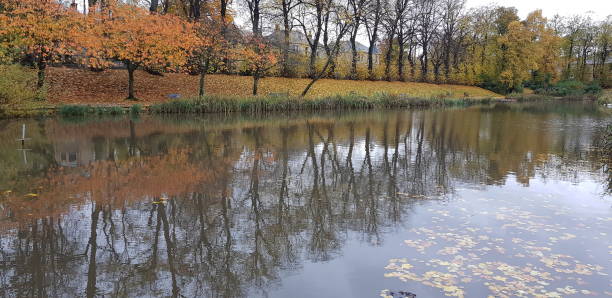 istock Reflection of trees on a pond in autumn 1761959933