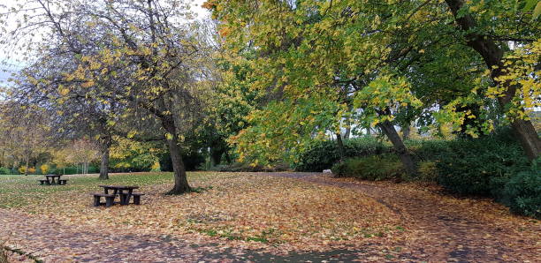 istock Autumn colours at a park at Glasgow 1761974463