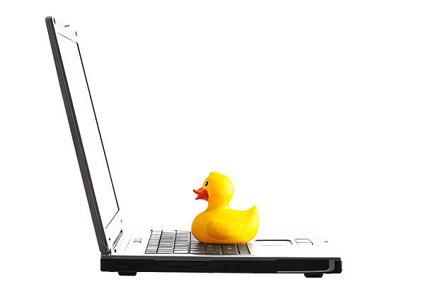 Rubber duck on a computer stock photo