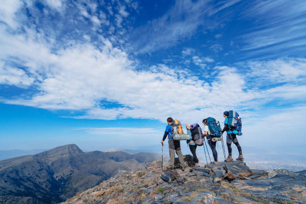 equipe de alpinistas está olhando para a câmera observando de pé no cume de uma montanha. - group of people journey effort travel destinations - fotografias e filmes do acervo