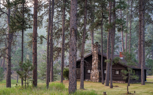 istock Log House in the Woods in Custer State Park 1762004681
