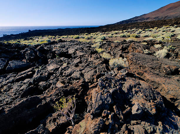 istock Landscape of Hierro, Canary Islands 176201957