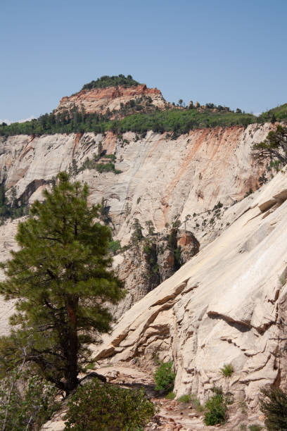 istock West Rim Trail in Zion National Park wilderness 1762024350