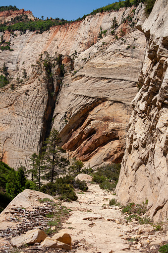 West Rim Trail views in Zion National Park during summer hike.