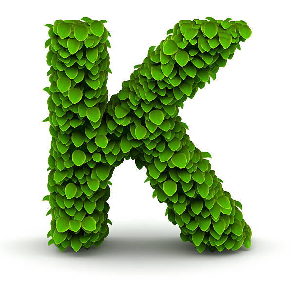 blätter schrift buchstabe k - letter k alphabet three dimensional shape green stock-fotos und bilder