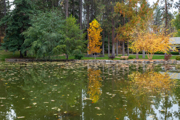 Free Stock Photo of Bench and Autumn Trees With Pond in Park | Download ...