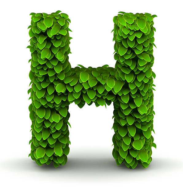 잎 서체가 알파벳 h - letter h alphabet three dimensional shape green 뉴스 사진 이미지