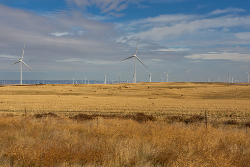 Many wind turbines in central Oregon, USA