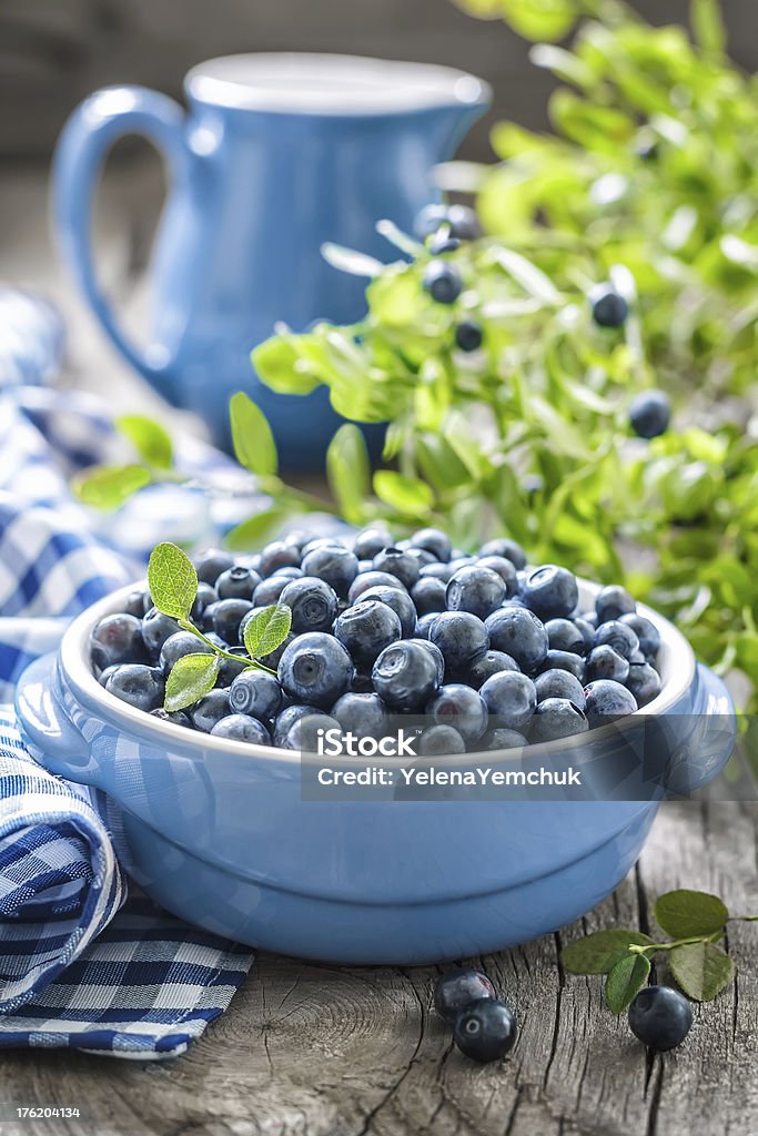 Blueberry Agriculture Stock Photo