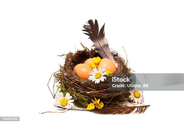 Bird Nest With Eggs Feather And Spring Flowers Stock Photo - Download Image Now - Animal Nest, Bird, Bird's Nest