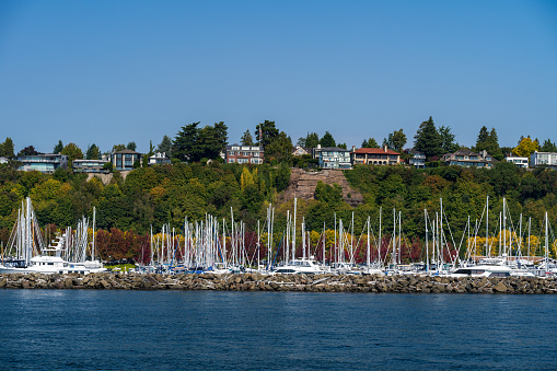 Boats in the Elliott Bay Bell Marina on a bright sunny day beneath luxury hillside homes.