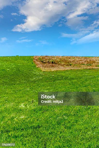 Green And Blue Stock Photo - Download Image Now - Agricultural Field, Backgrounds, Blue