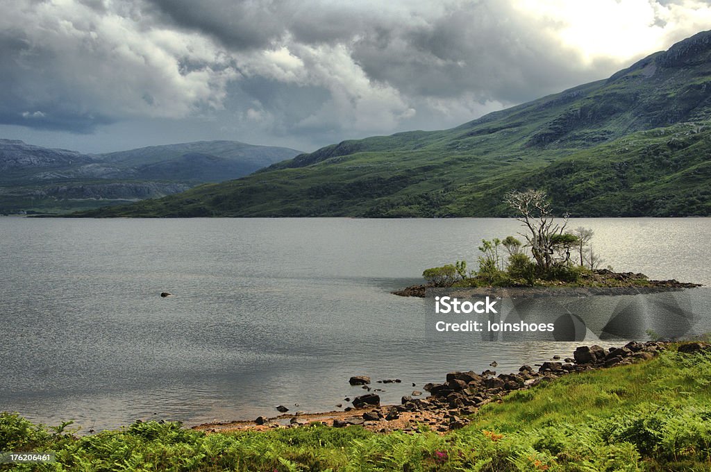 Loch Assynt - Foto stock royalty-free di Albero