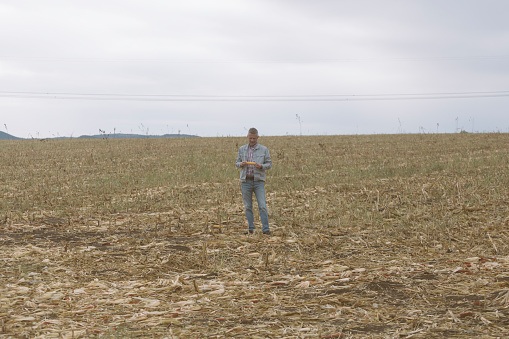 Harvesting corn in autumn in Europe