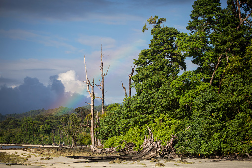 A rainbow is seen from Elephant Beach on Havelock Island, one of the Andaman Islands.