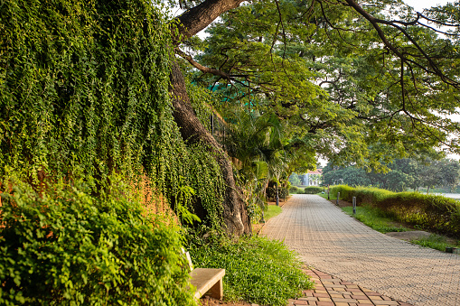 A pathway through a park in Chennai at dusk