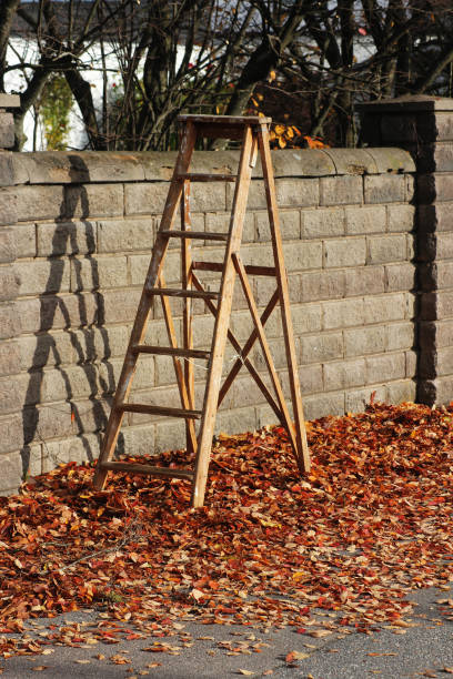 istock A large ladder surrounded by autumn leaf 1762118257