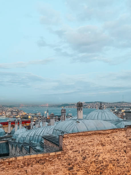 vue d'istanbul - istanbul surrounding wall suleymanie mosque turkey photos et images de collection